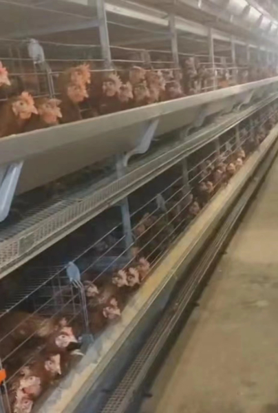 7bb6013c9b41fa9c3ecc16f60e67108.jpg 7bb6013c9b41fa9c3ecc16f60e67108.jpg