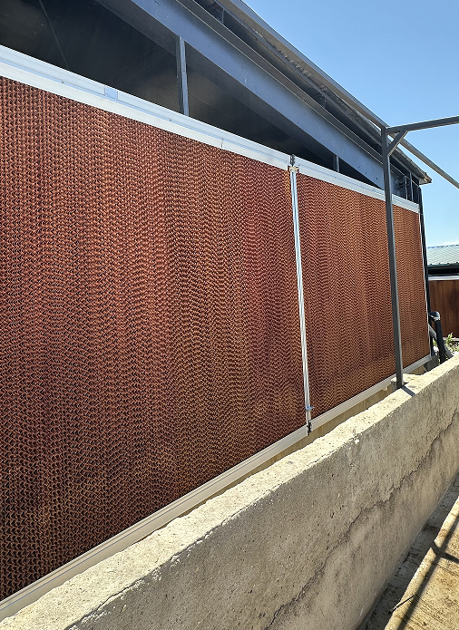 0b66cd9ecd460b8d9770398d97753ad.png 0b66cd9ecd460b8d9770398d97753ad.png